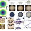 New Research Papers from IDEAS² Faculty and Students on Deployable Systems